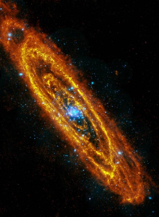 Photo:  Andromeda M31